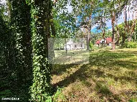 Międzylesie, ok. Dzieci Polskich, pod rezydencję! — zdjęcie 2