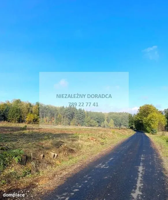 Mszczonów, blisko węzła, pod osiedle/magazyn — zdjęcie 3