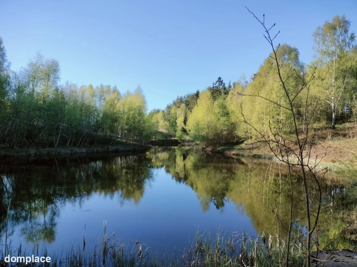 Wyjątkowa działka na skraju natury (1)