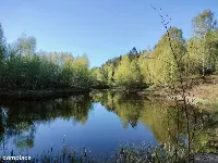 Wyjątkowa działka na skraju natury (1) — zdjęcie 1