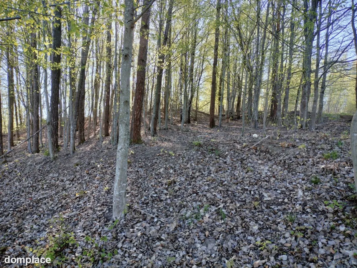 Wyjątkowa działka na skraju natury (1) — zdjęcie 5