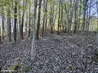 Wyjątkowa działka na skraju natury (1) — zdjęcie 5