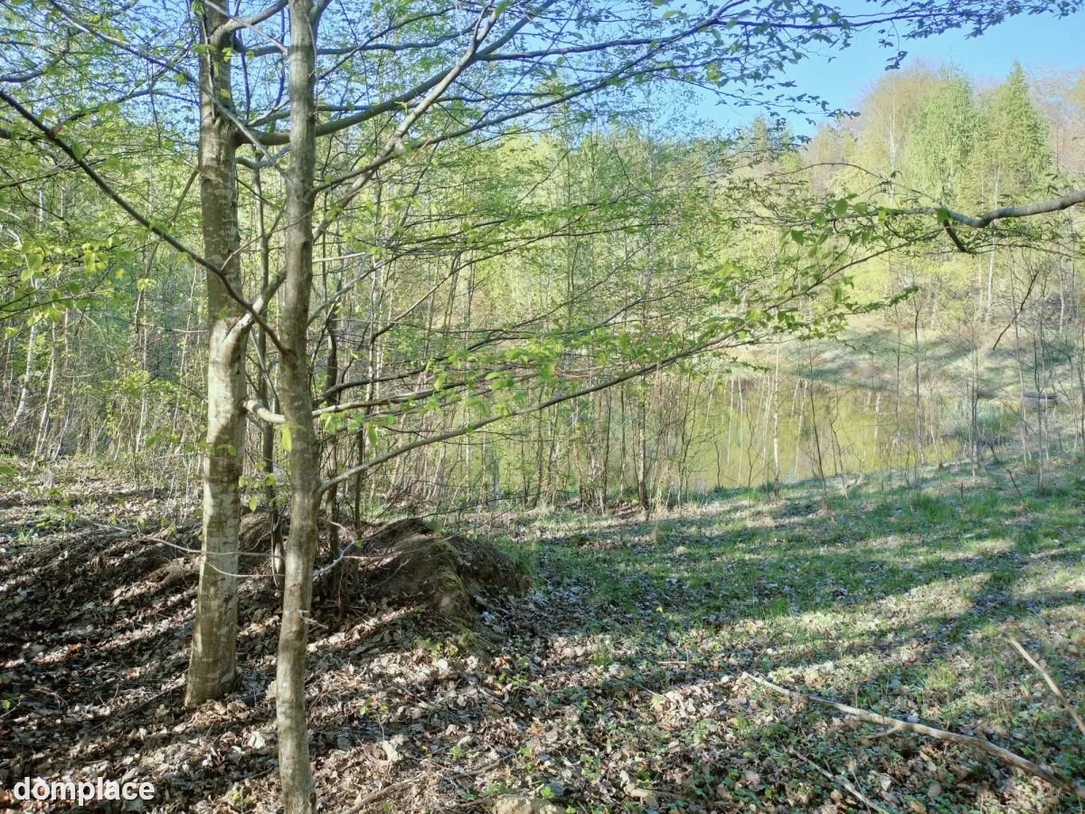 Wyjątkowa działka na skraju natury (1) — zdjęcie 7