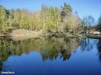 Wyjątkowa działka na skraju natury (1) — zdjęcie 8