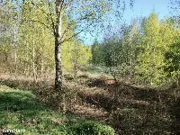 Wyjątkowa działka na skraju natury (1) — zdjęcie 9