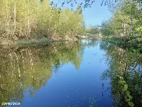 Wyjątkowa działka na skraju natury (2) — zdjęcie 8