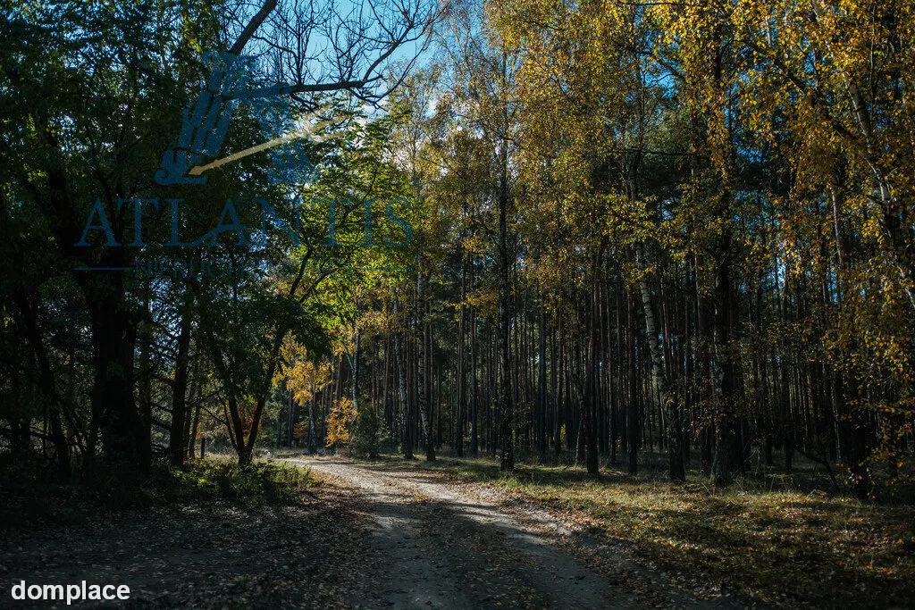 Działki z warunkami zabudowy w otoczeniu lasu — zdjęcie 8
