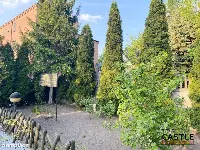 Dwa domy tańcowały-jeden duży, drugi niemały…. — zdjęcie 4