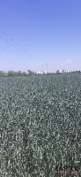 Tylko teraz TAKA CENA. — zdjęcie 2