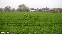 Tylko teraz TAKA CENA. — zdjęcie 3