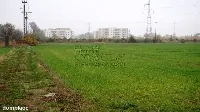 Tylko teraz TAKA CENA. — zdjęcie 5