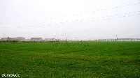 Tylko teraz TAKA CENA. — zdjęcie 7