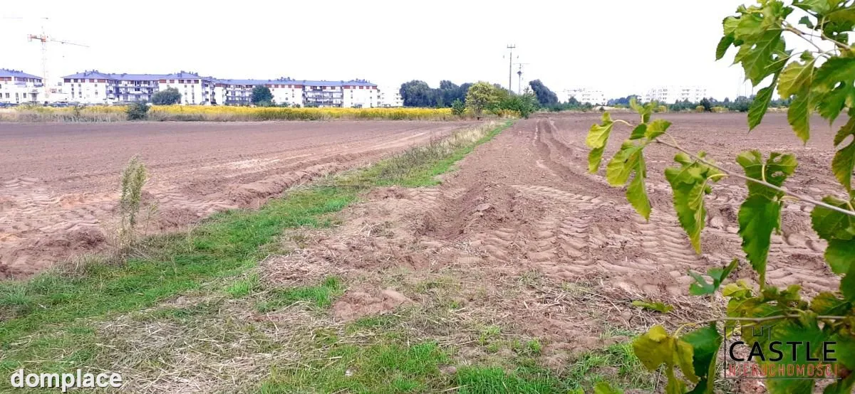 Tylko teraz TAKA CENA. — zdjęcie 15