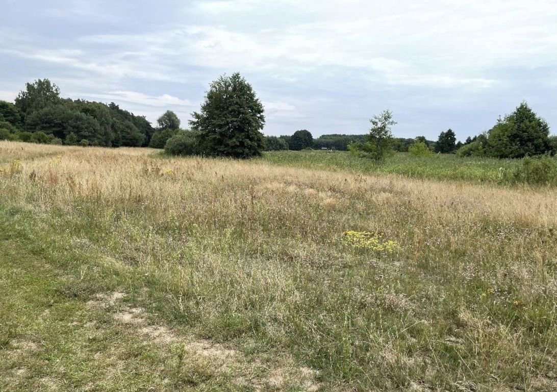 Starczanowo - Nekla działka na sprzedaż.