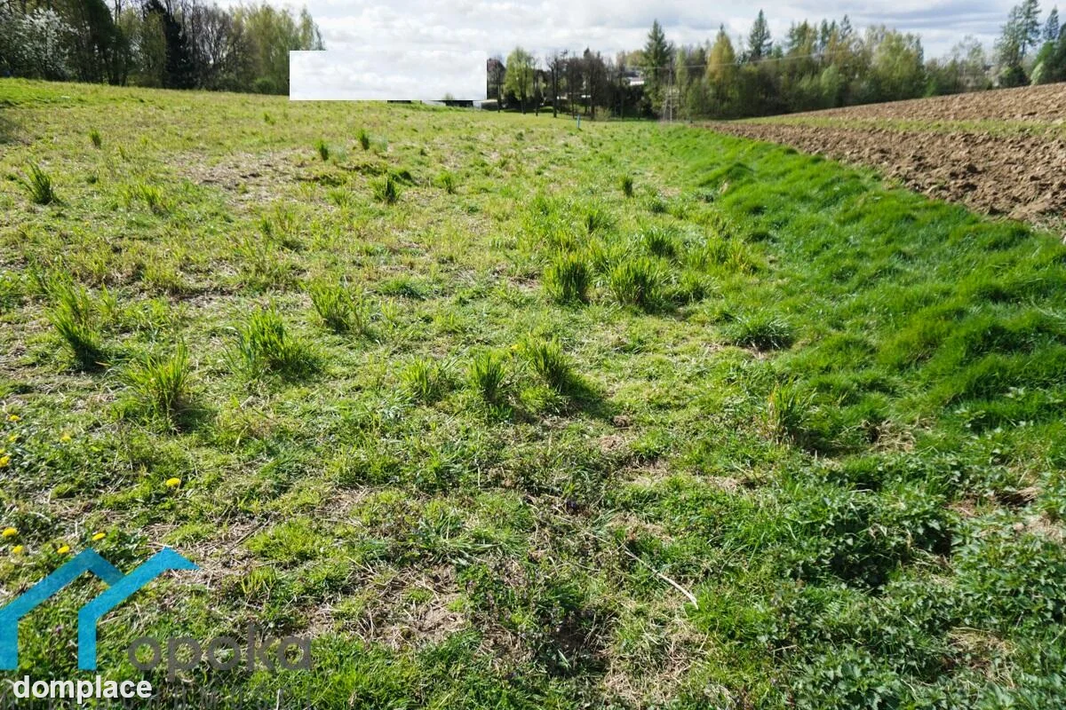 Działka — cieszyński, Hażlach — zdjęcie 7