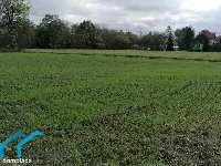 Działka — cieszyński, Strumień — zdjęcie 4