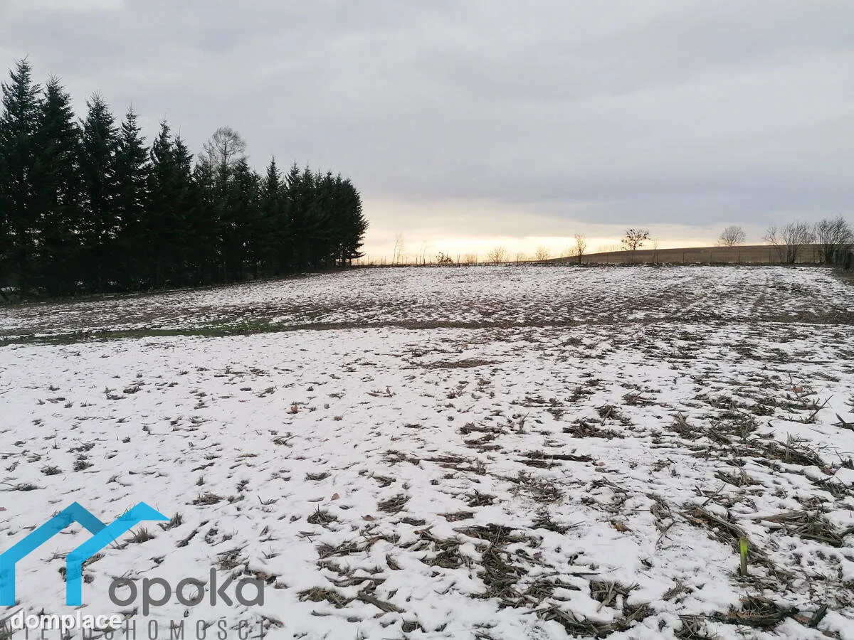 Działka — cieszyński, Goleszów — zdjęcie 11