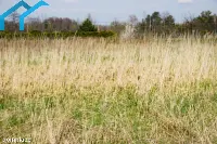 Działka — cieszyński, Ustroń — zdjęcie 10