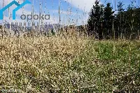 Działka — cieszyński, Ustroń — zdjęcie 9