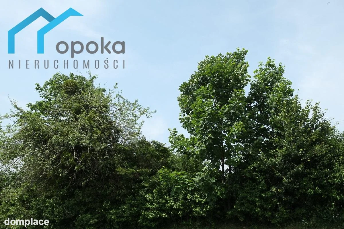Działka — cieszyński, Hażlach — zdjęcie 4