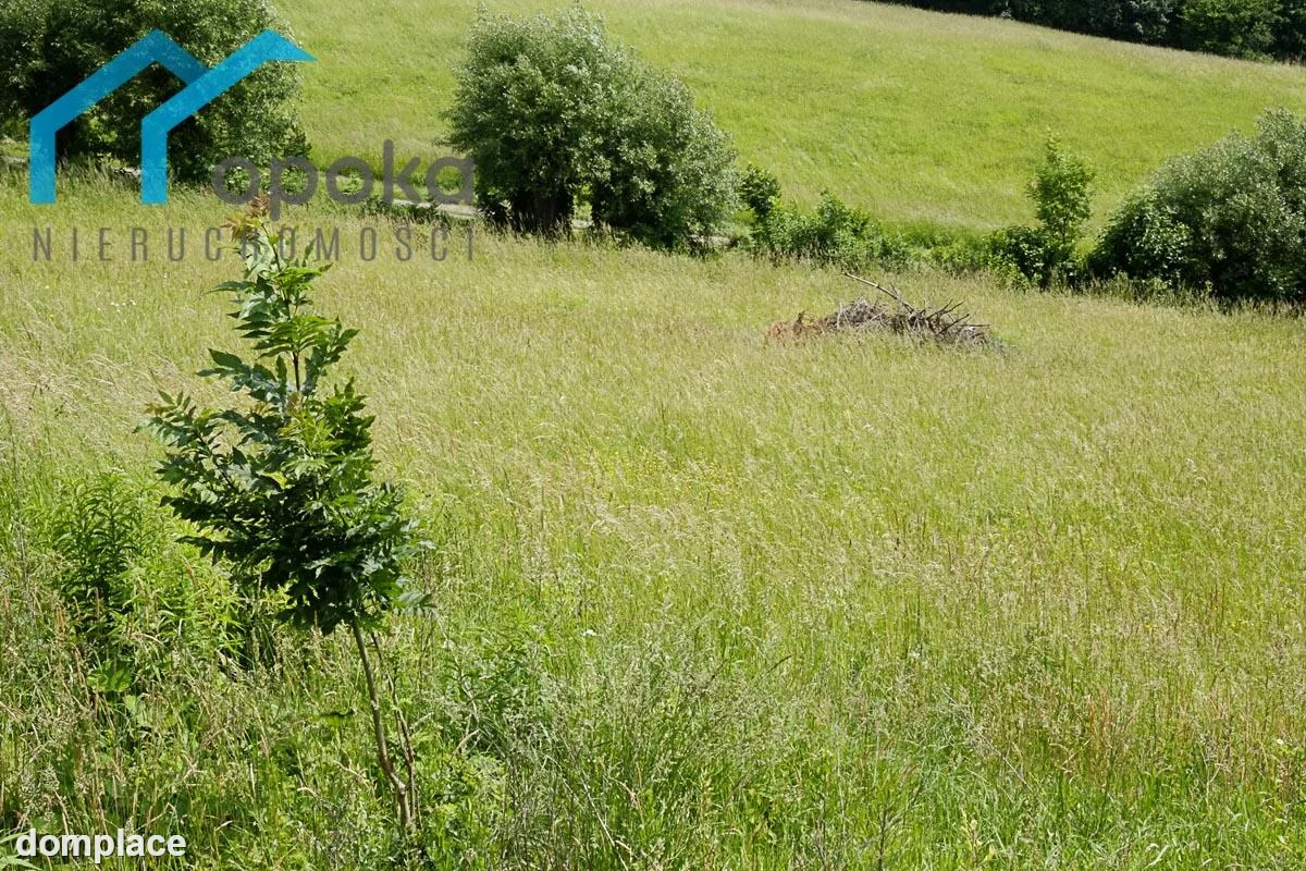 Działka — cieszyński, Hażlach — zdjęcie 8