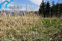 Działka — cieszyński, Ustroń — zdjęcie 9