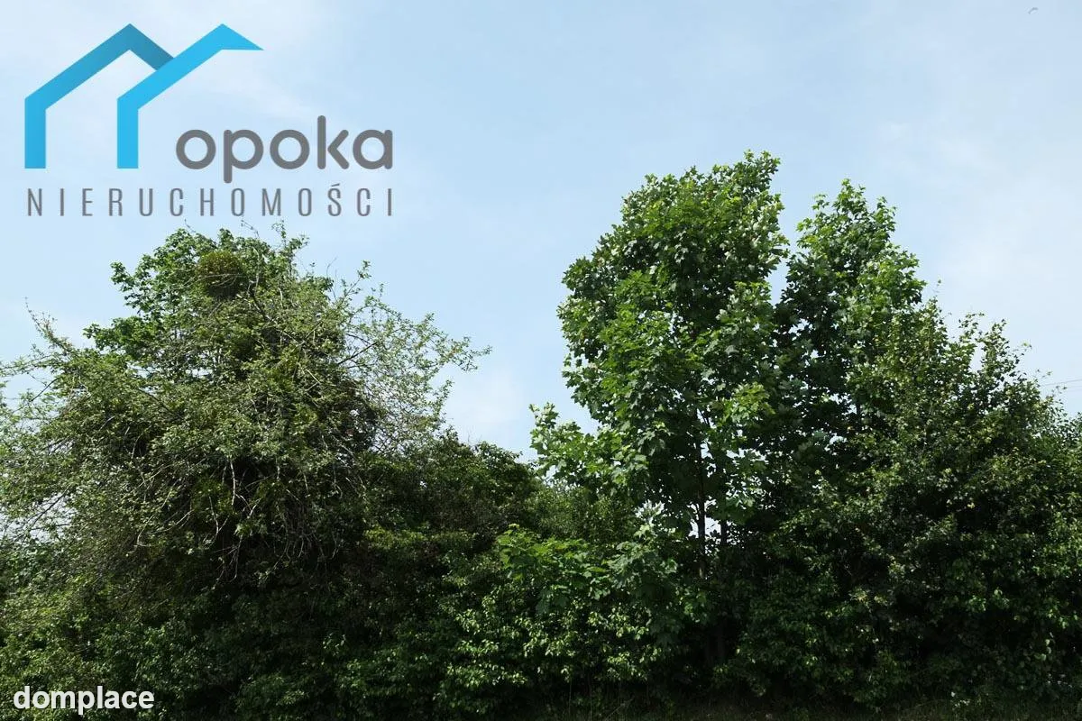 Działka — cieszyński, Hażlach — zdjęcie 4