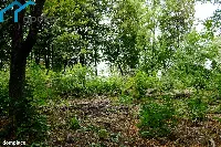 Działka — Dąbrowa Górnicza — zdjęcie 9