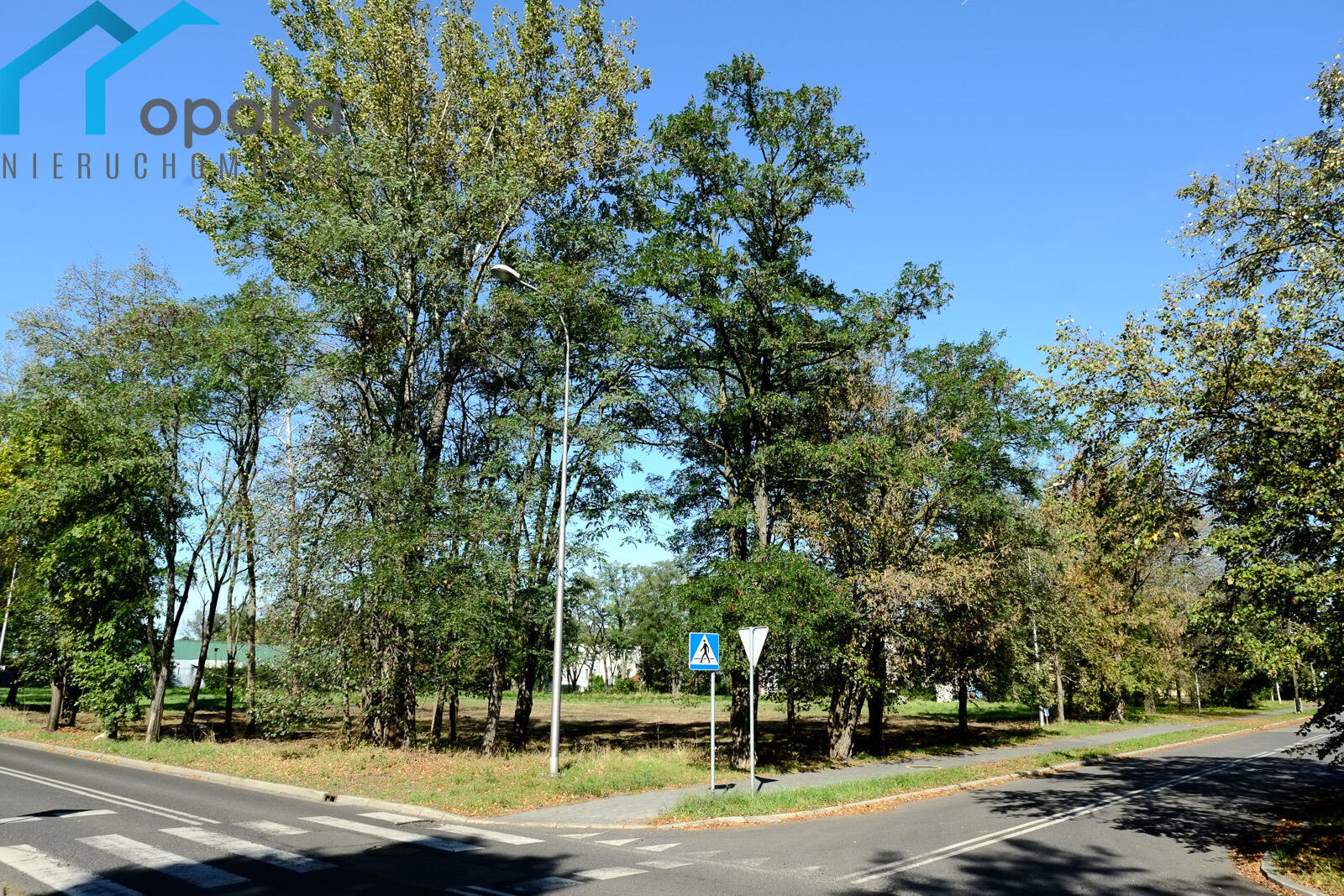 Działka — Dąbrowa Górnicza, Ząbkowice