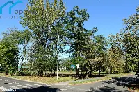 Działka — Dąbrowa Górnicza, Ząbkowice — zdjęcie 1
