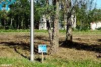 Działka — Dąbrowa Górnicza, Ząbkowice — zdjęcie 8