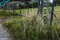 Działka — cieszyński, Cieszyn — zdjęcie 7