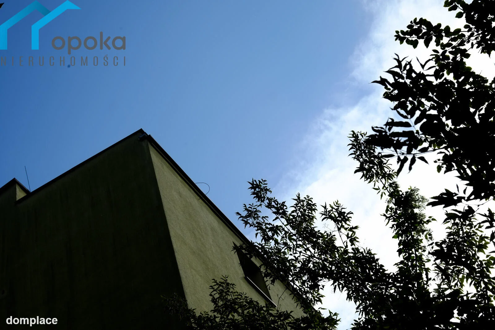 Działka — będziński, Będzin — zdjęcie 13