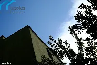 Działka — będziński, Będzin — zdjęcie 13