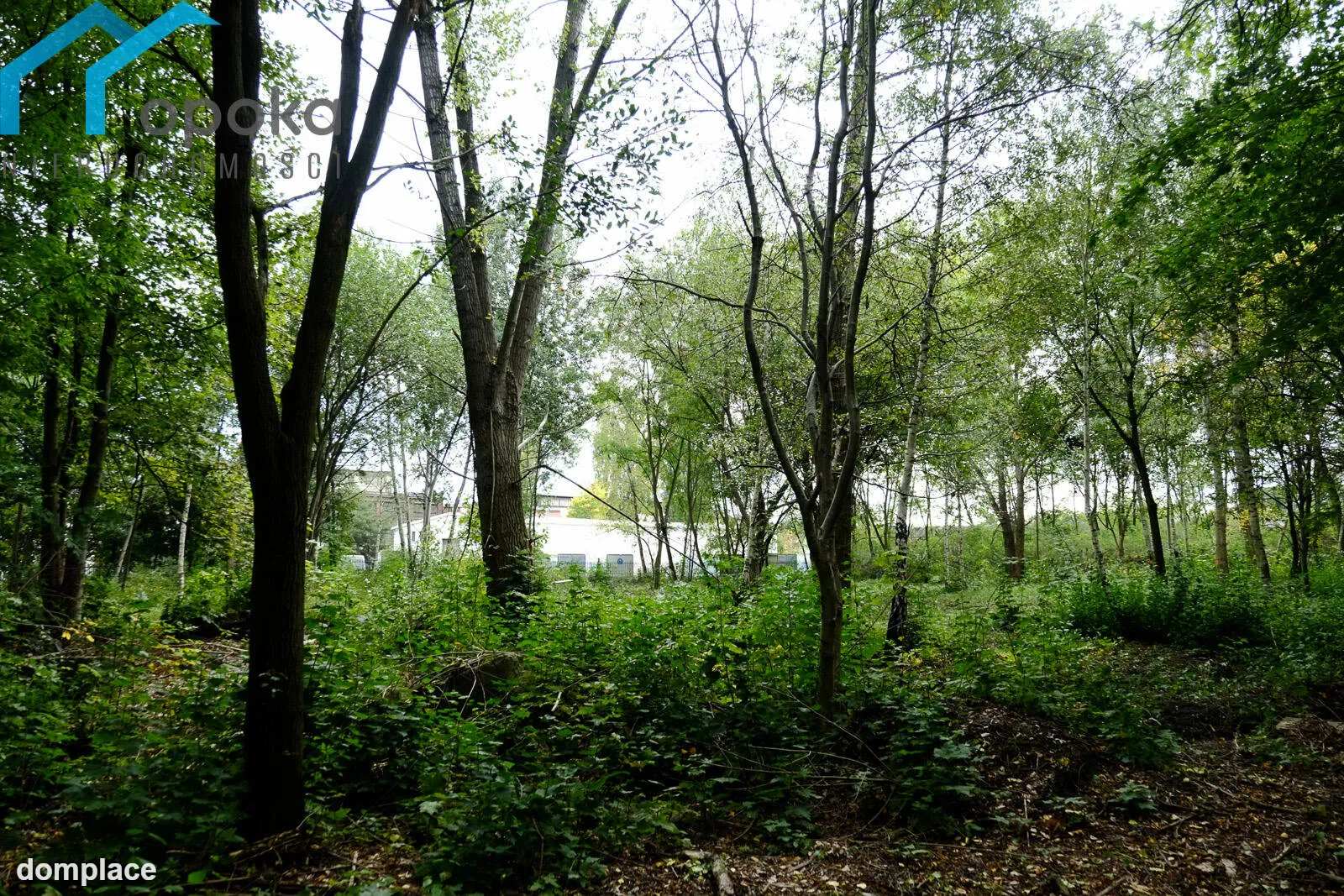Działka — Dąbrowa Górnicza — zdjęcie 8