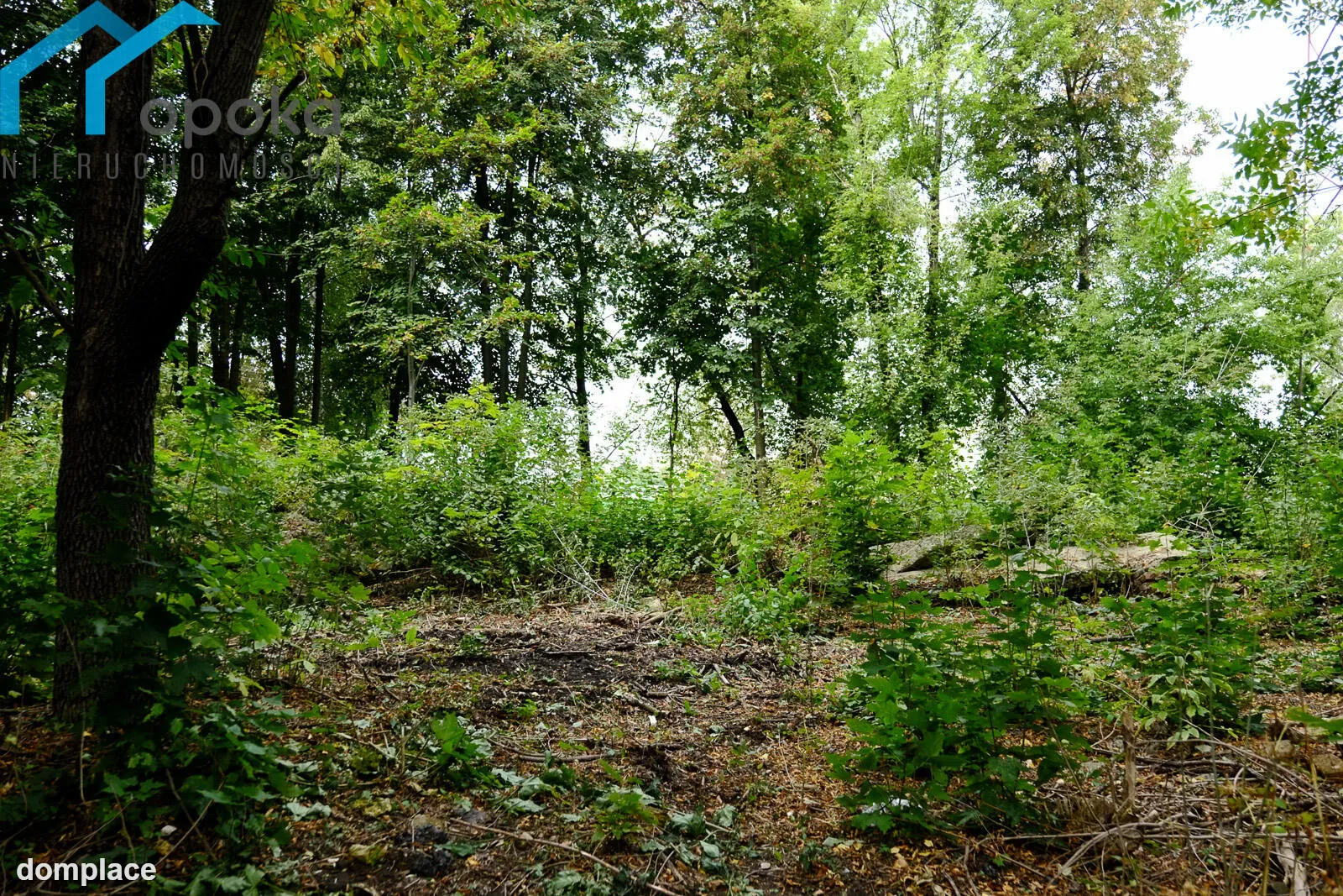 Działka — Dąbrowa Górnicza — zdjęcie 9