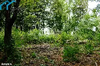 Działka — Dąbrowa Górnicza — zdjęcie 9