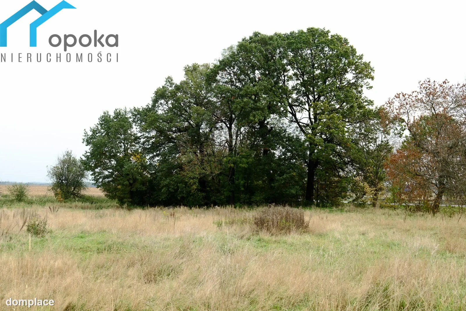 Działka — gliwicki, Pilchowice — zdjęcie 14