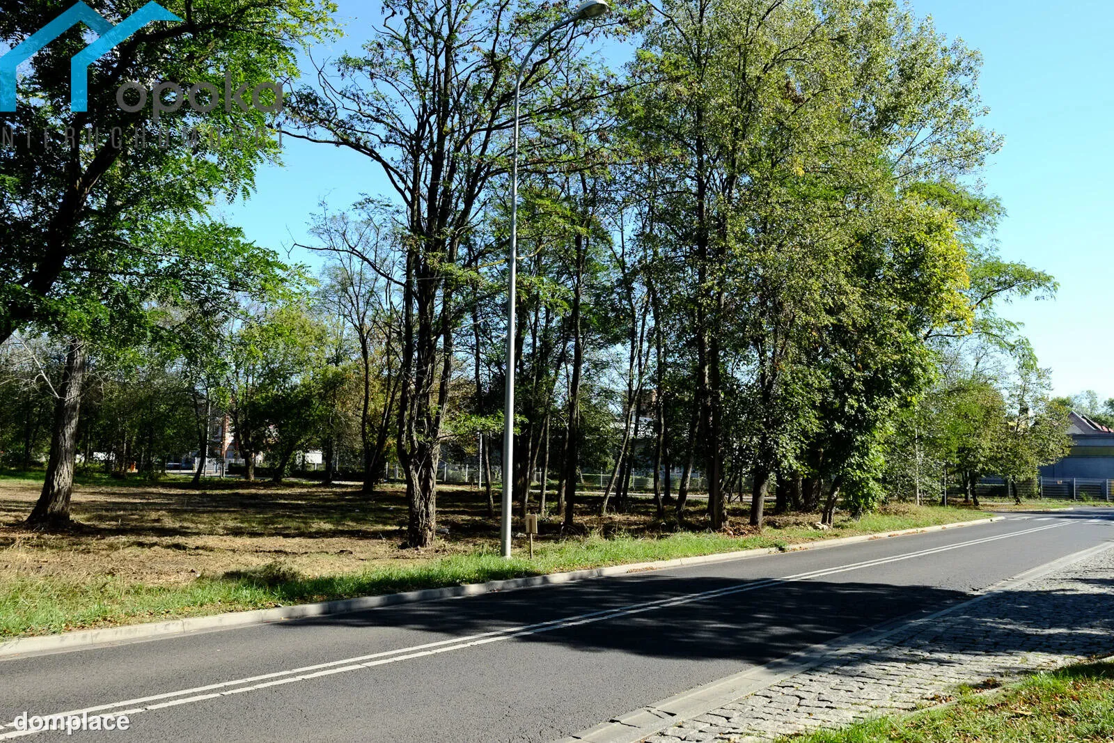 Działka — Dąbrowa Górnicza, Ząbkowice — zdjęcie 7