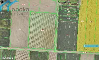 Działka — Piekary Śląskie — zdjęcie 10