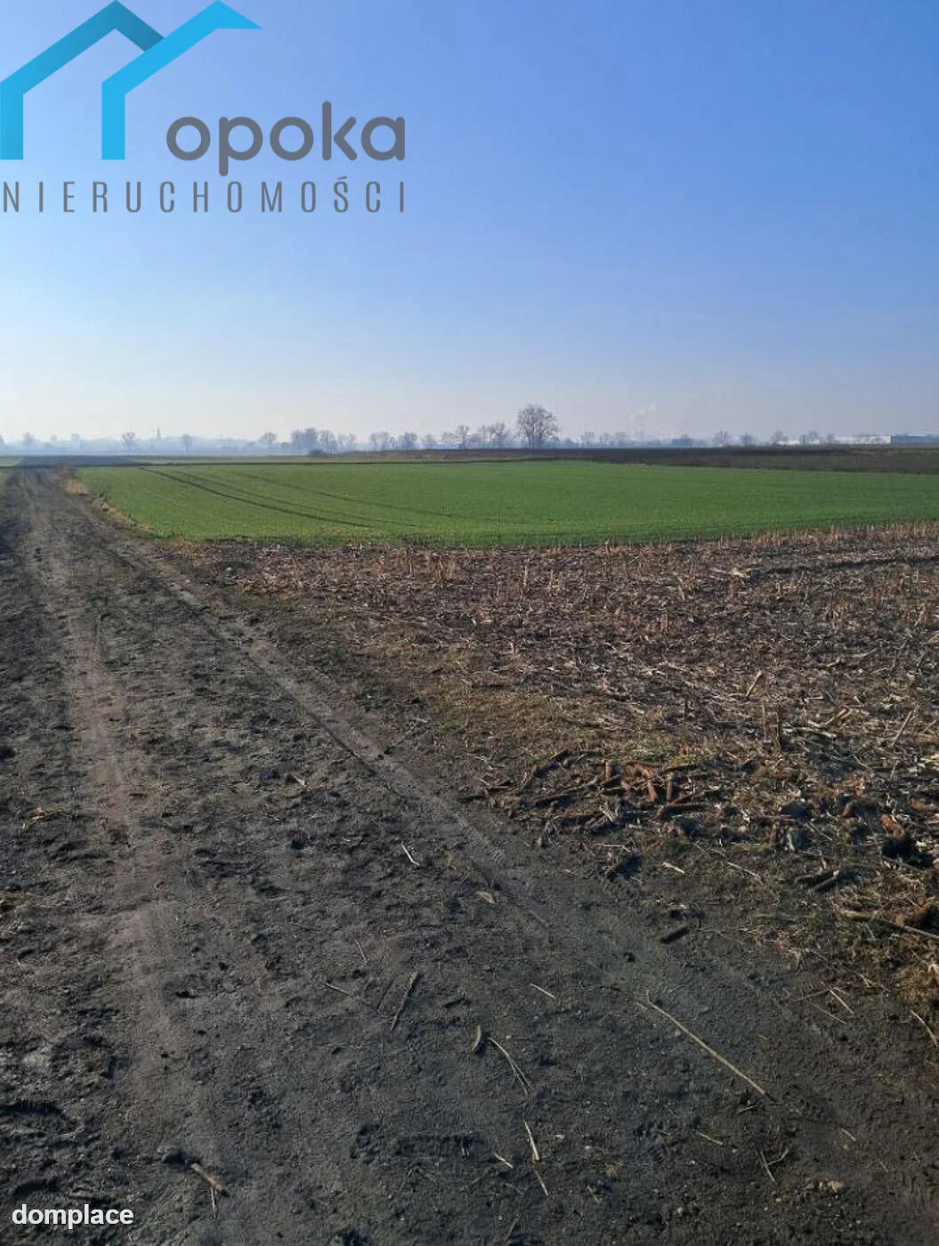 Działka — Piekary Śląskie — zdjęcie 6