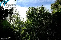 Działka — będziński, Będzin — zdjęcie 9