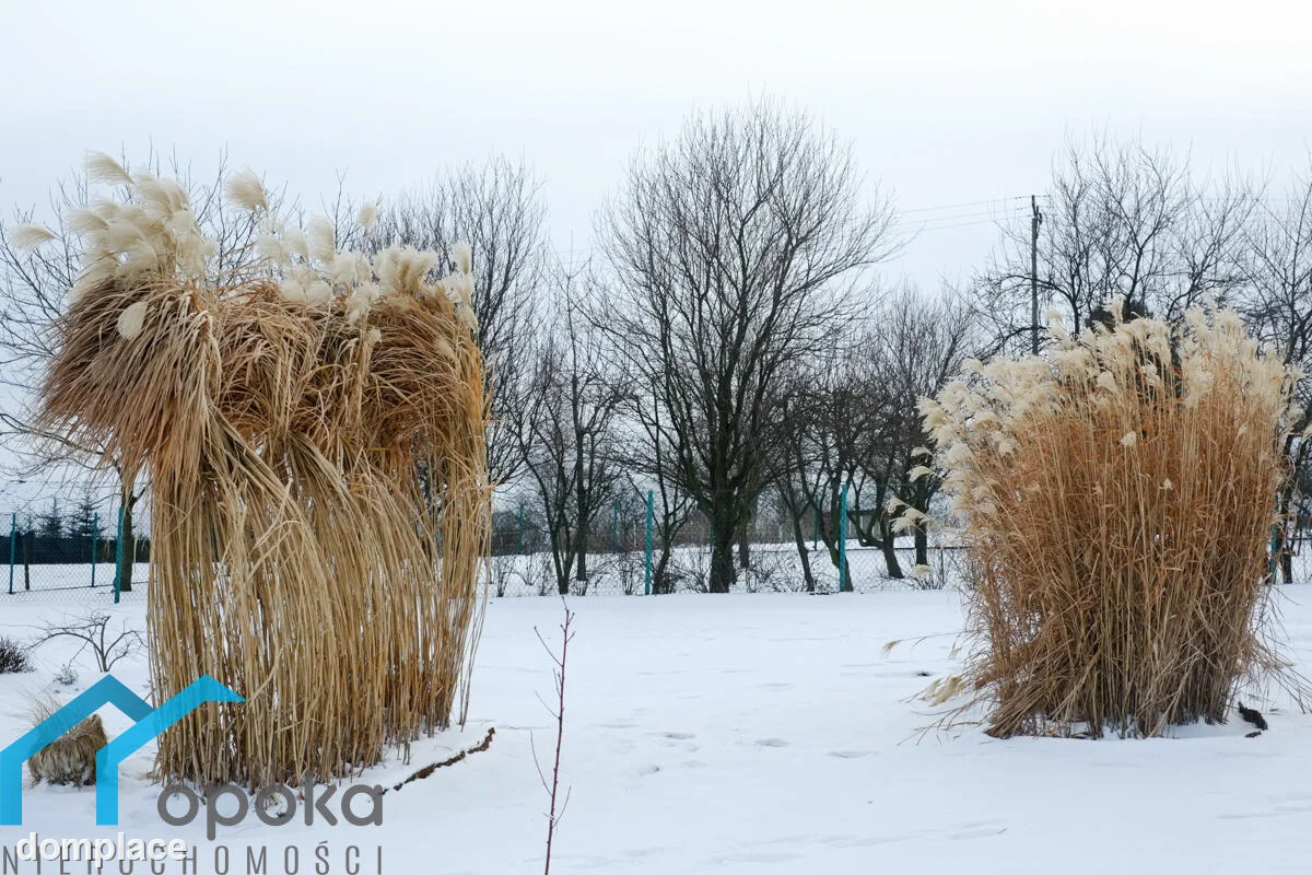 Działka — cieszyński, Cieszyn — zdjęcie 10