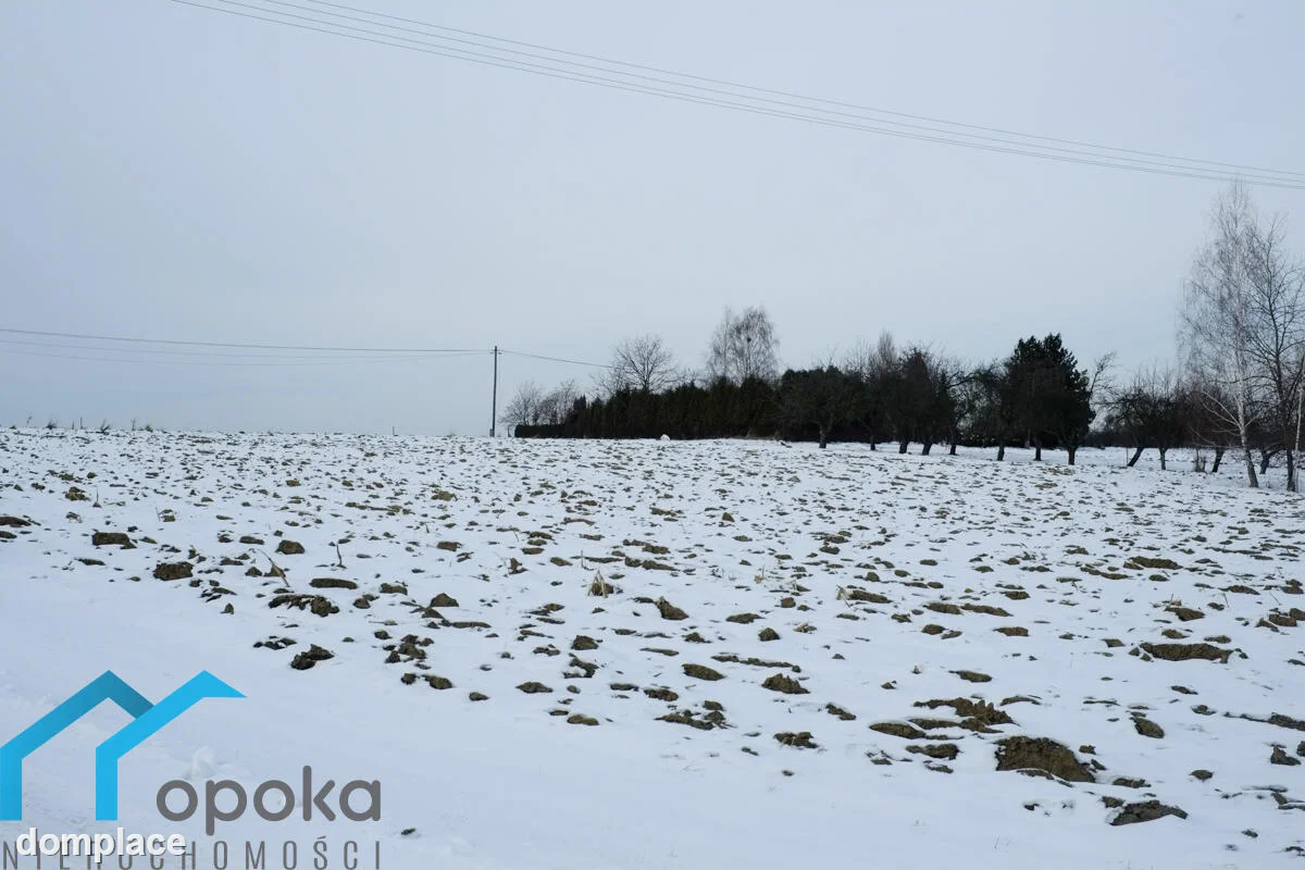 Działka — cieszyński, Cieszyn — zdjęcie 3