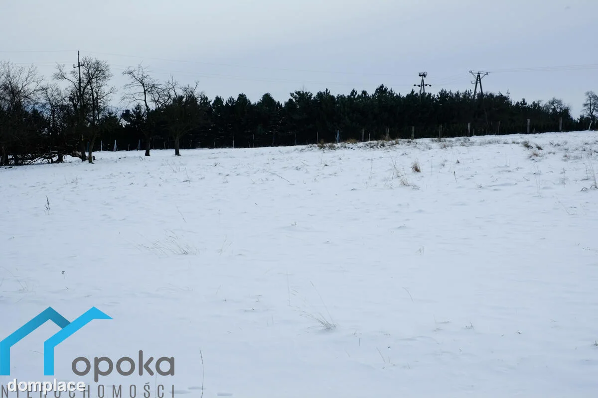 Działka — cieszyński, Cieszyn — zdjęcie 6