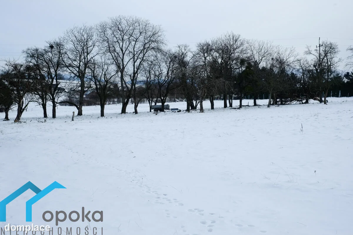 Działka — cieszyński, Cieszyn — zdjęcie 7