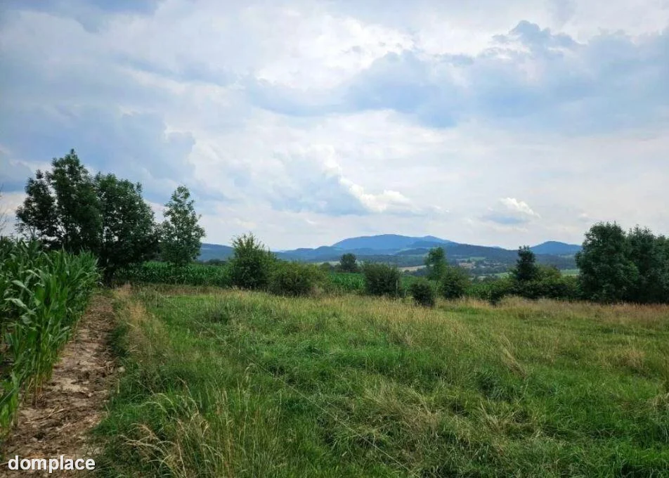 Działka — cieszyński, Goleszów