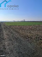 Działka — Piekary Śląskie — zdjęcie 2