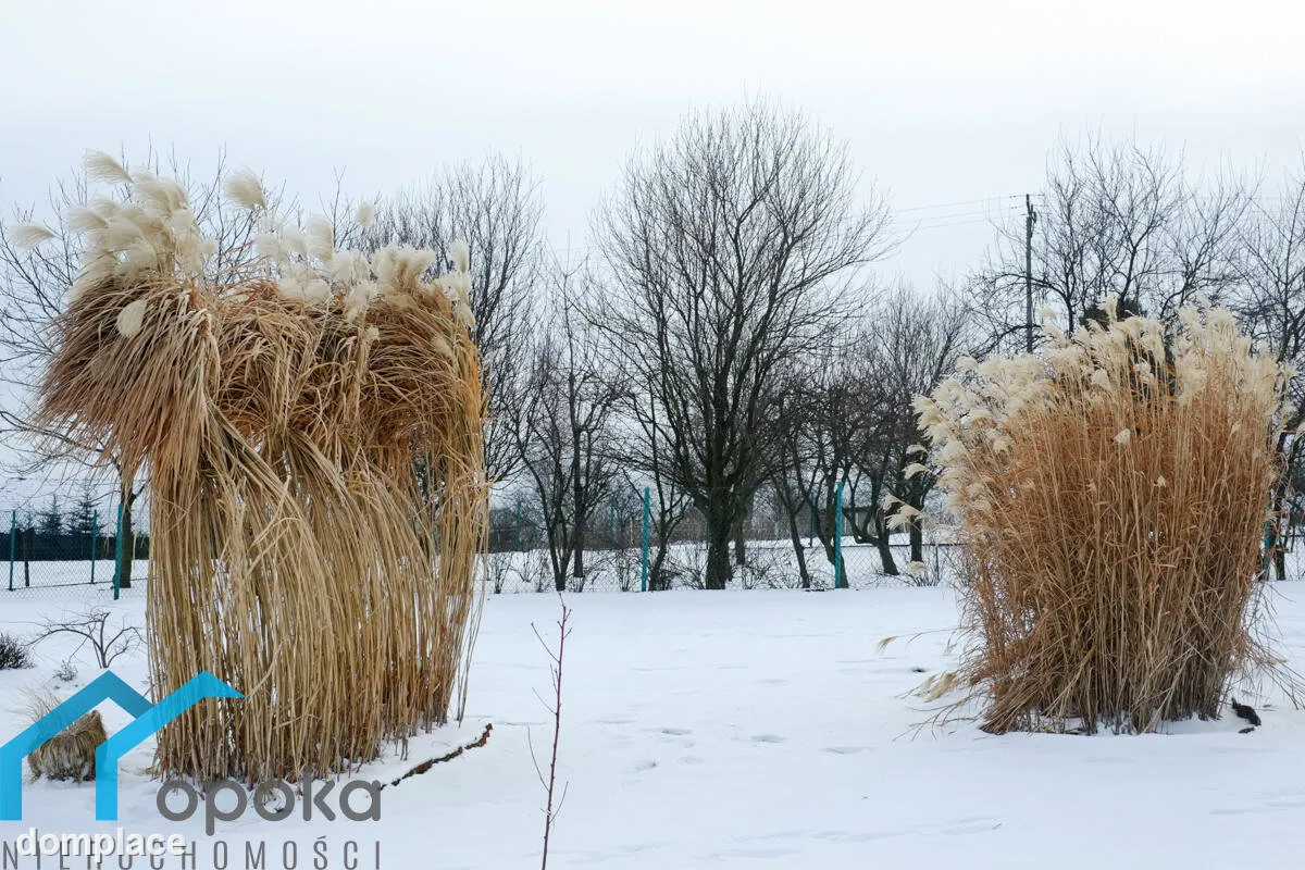 Działka — cieszyński, Cieszyn — zdjęcie 10