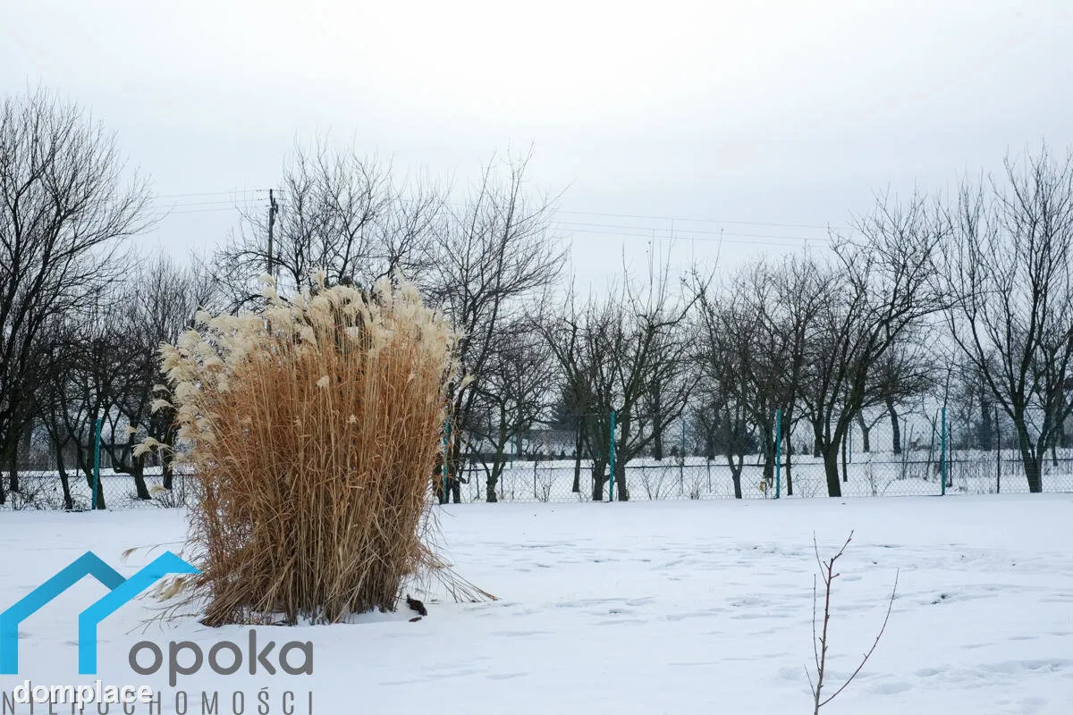 Działka — cieszyński, Cieszyn — zdjęcie 12